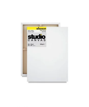 Windsor Studio Canvas